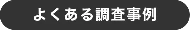 よくある調査事例